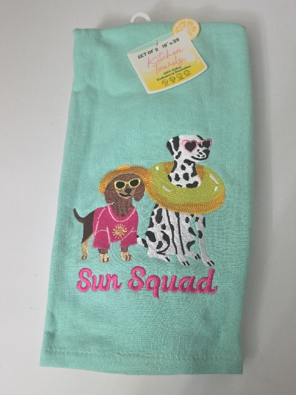 Kitchen Aqua Towels, Set of 2, NWT